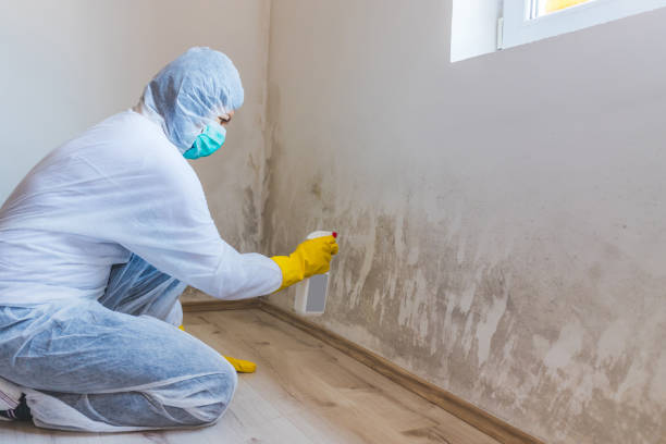Crawl Space Mold Remediation treatment of floor joists in Upper Black Eddy